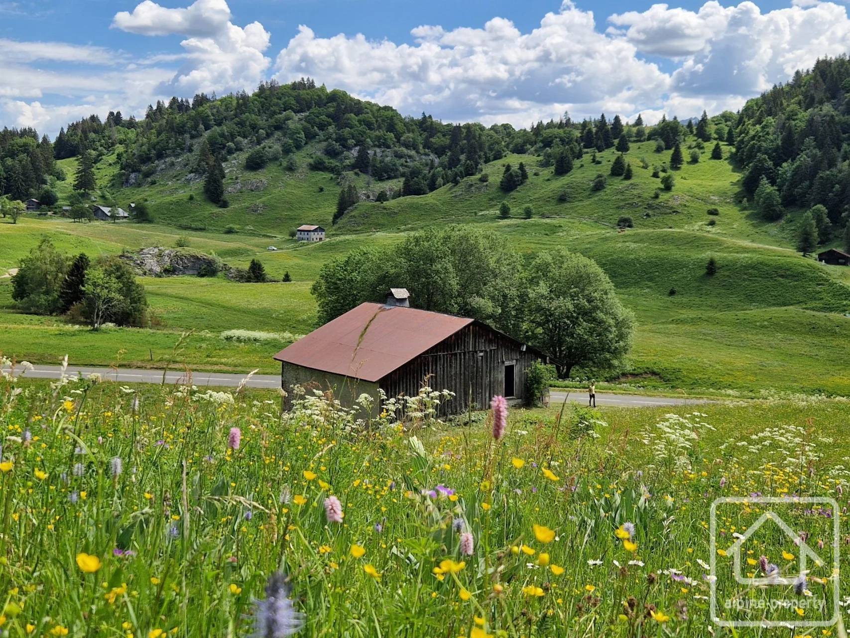 Ferme Tivanche, Onnion, Alpes du Léman (photo 2)