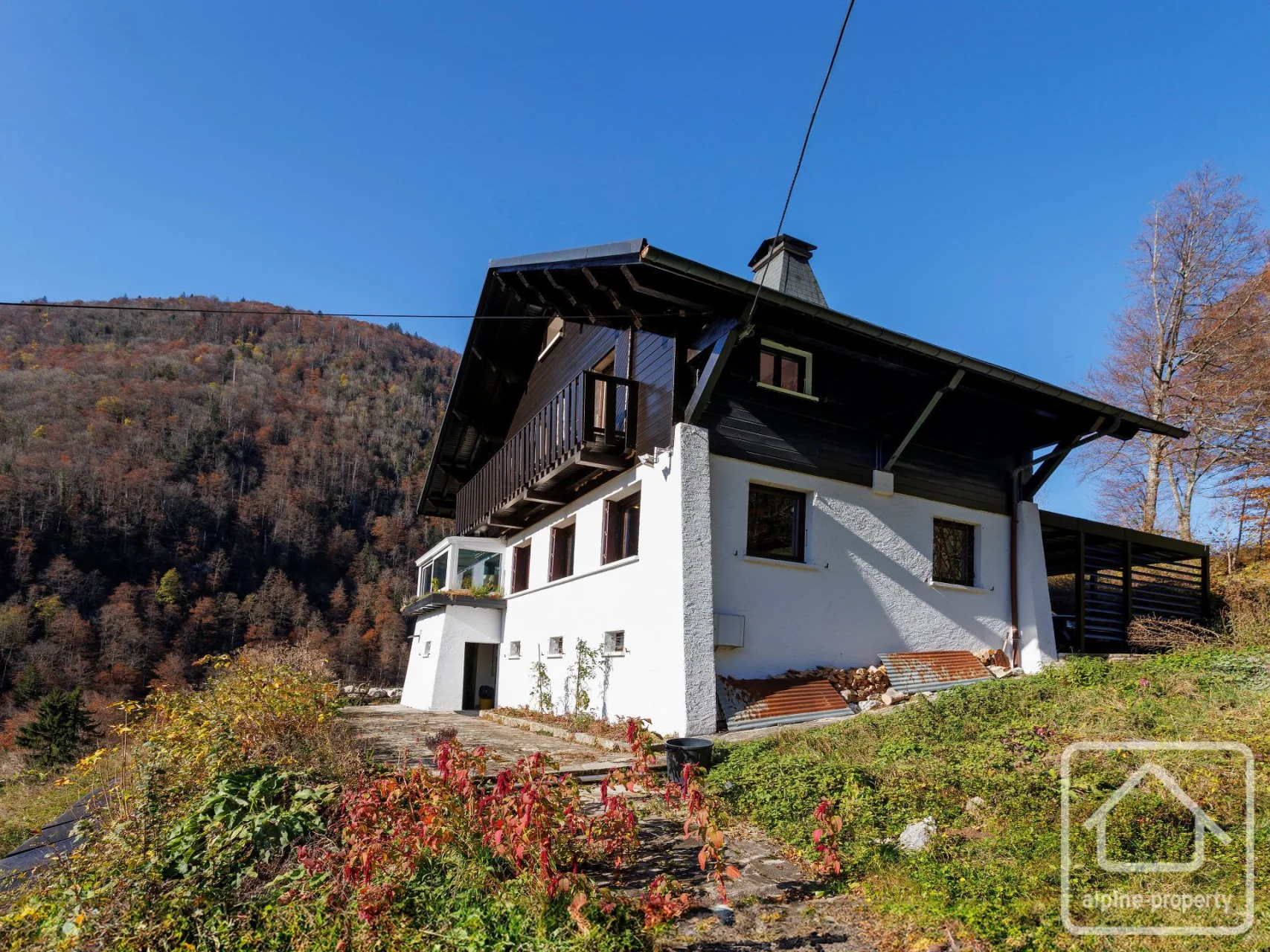 Chalet Alpina, Bellevaux, Alpes du Léman (photo 2)