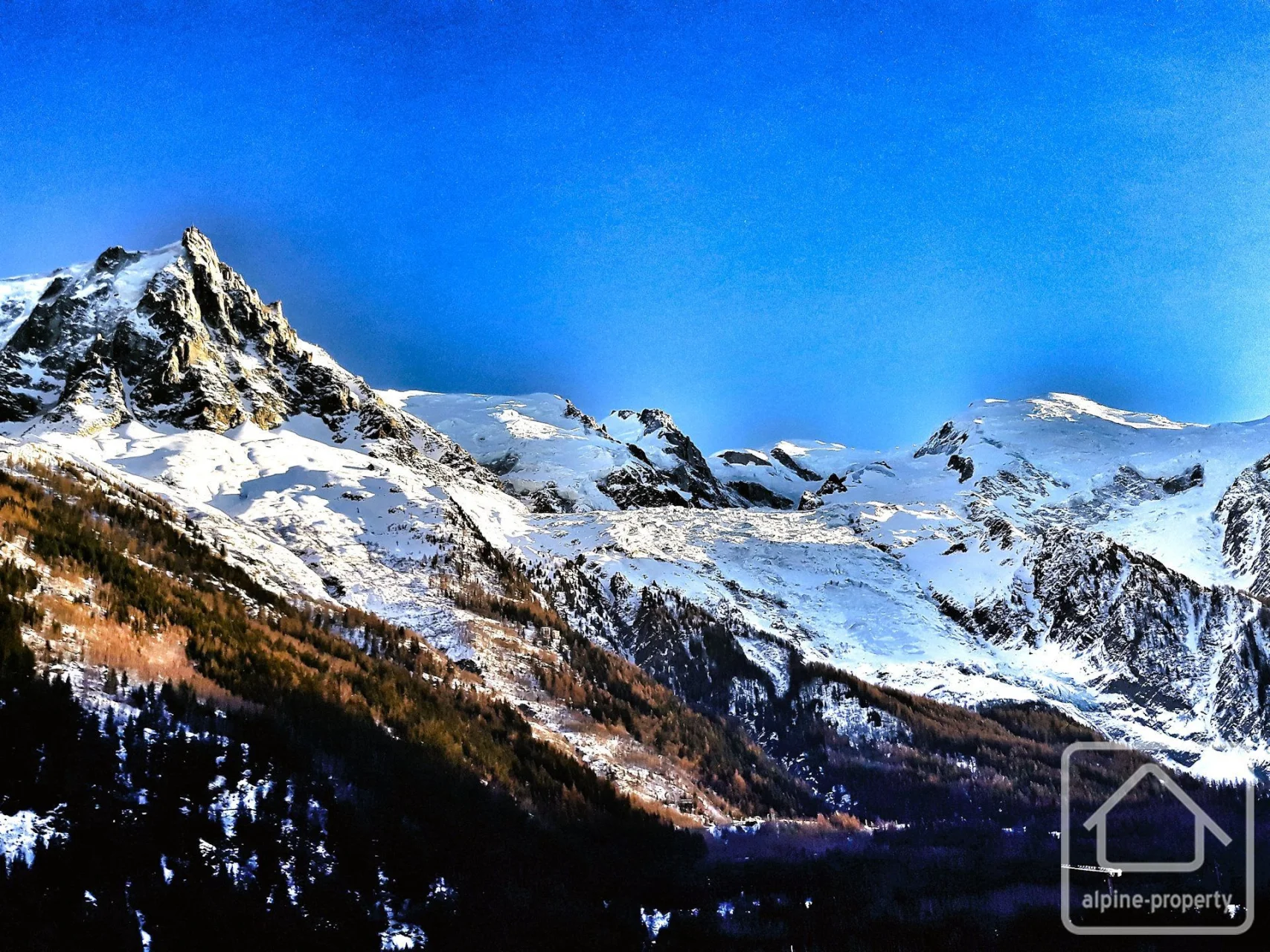 Terrain Moussoux, Chamonix-Mont-Blanc, Chamonix & Vallée (photo 3)