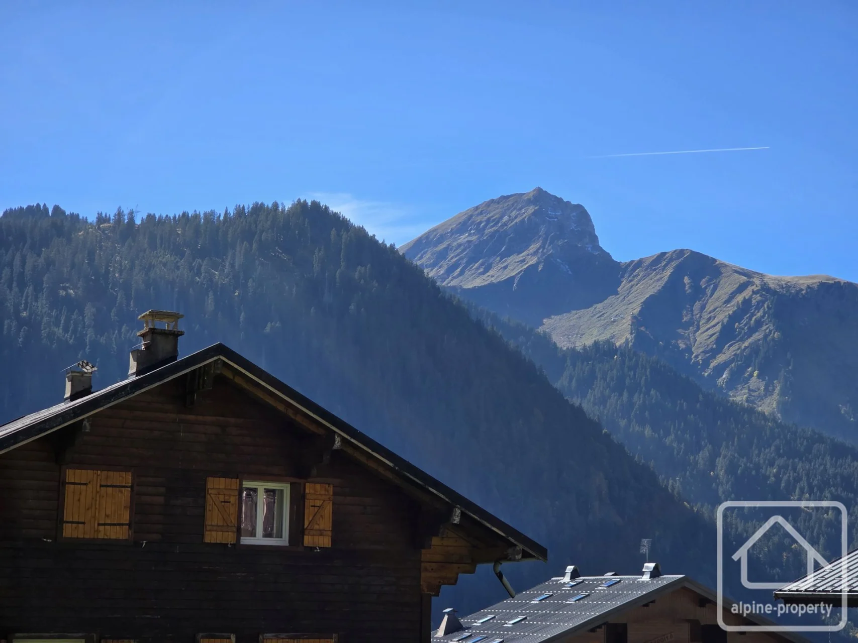 Terrain Petit Châtel, Châtel, Châtel & Vallée (photo 9)