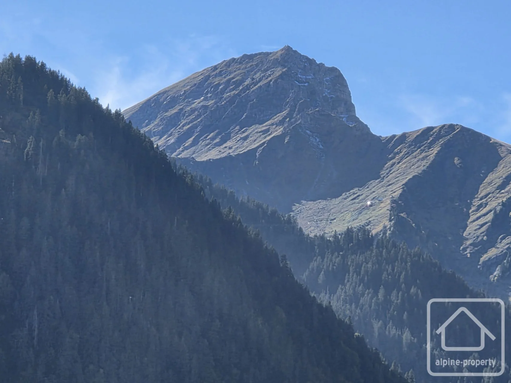 Terrain Petit Châtel, Châtel, Châtel & Vallée (photo 10)