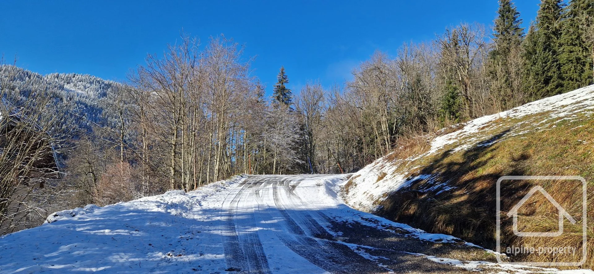 Terrain du Nant Blanc, Bellevaux, Alpes du Léman (photo 4)