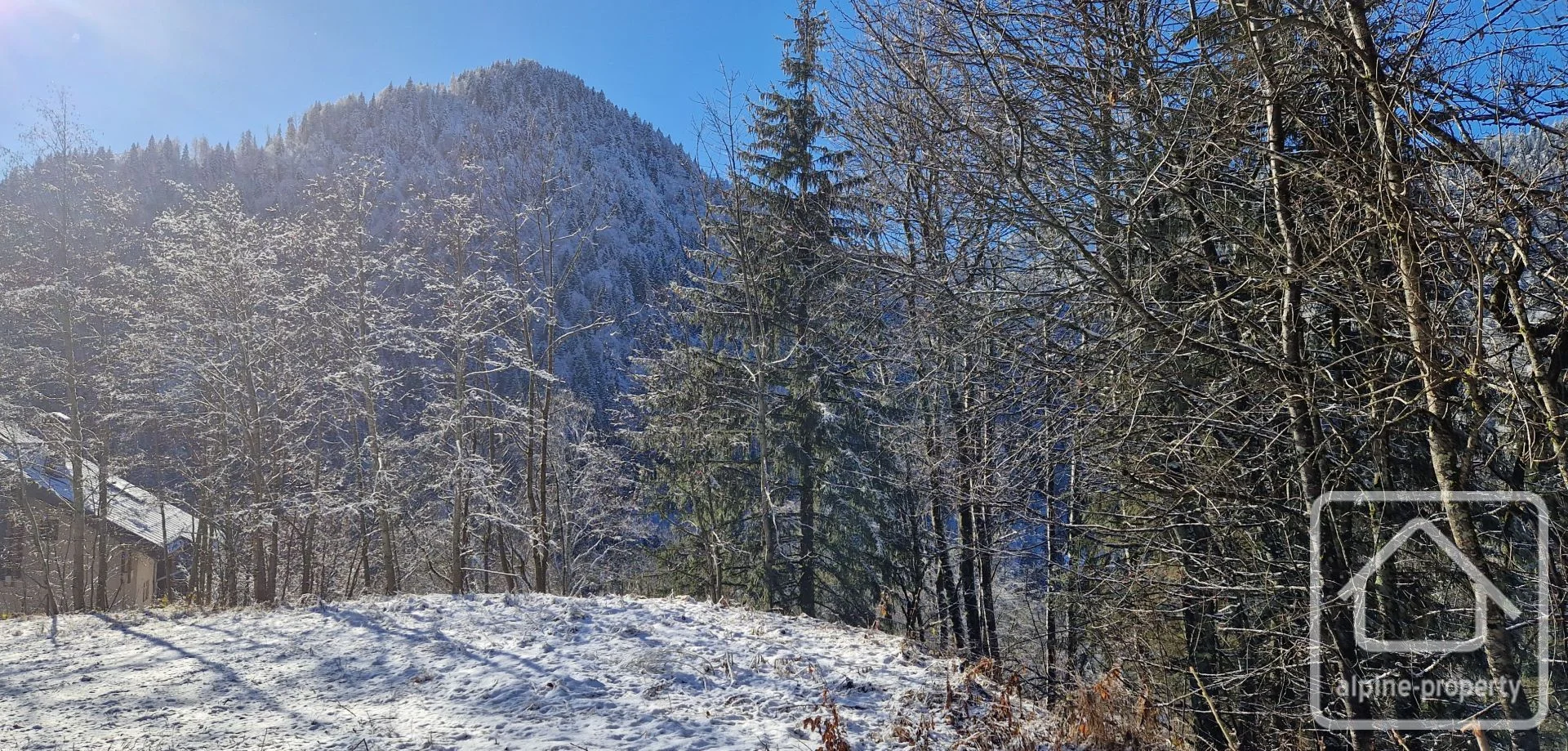 Terrain du Nant Blanc, Bellevaux, Alpes du Léman (photo 7)