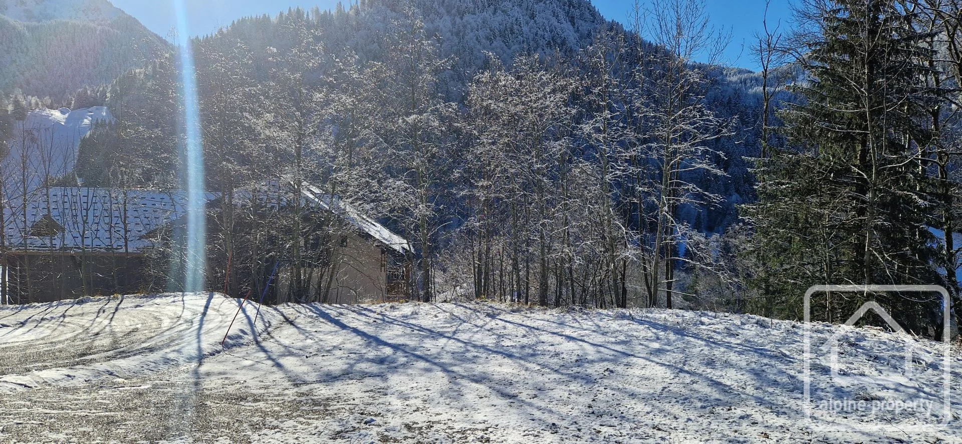 Terrain du Nant Blanc, Bellevaux, Alpes du Léman (photo 9)