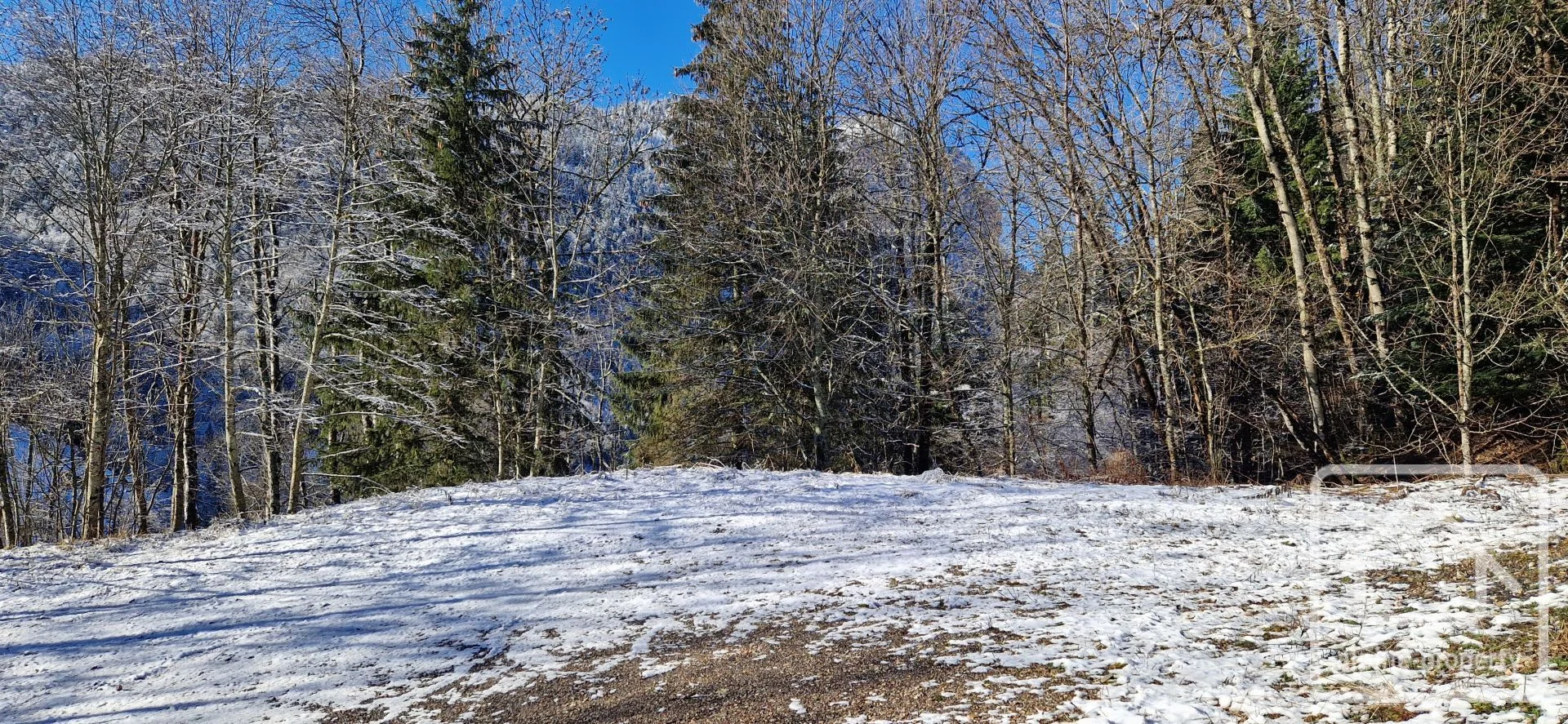 Terrain du Nant Blanc, Bellevaux, Alpes du Léman (photo 10)