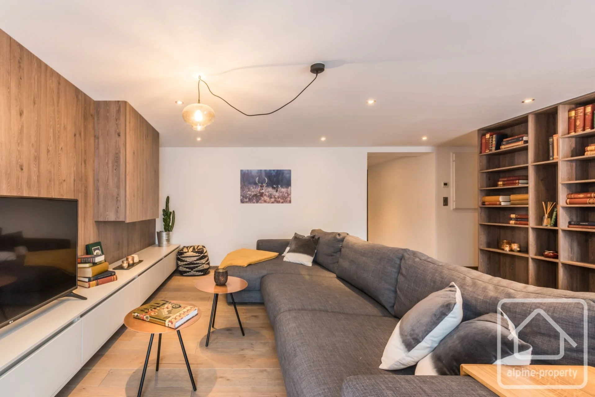 Appt. Sugi, Montriond, Morzine (photo 4)
