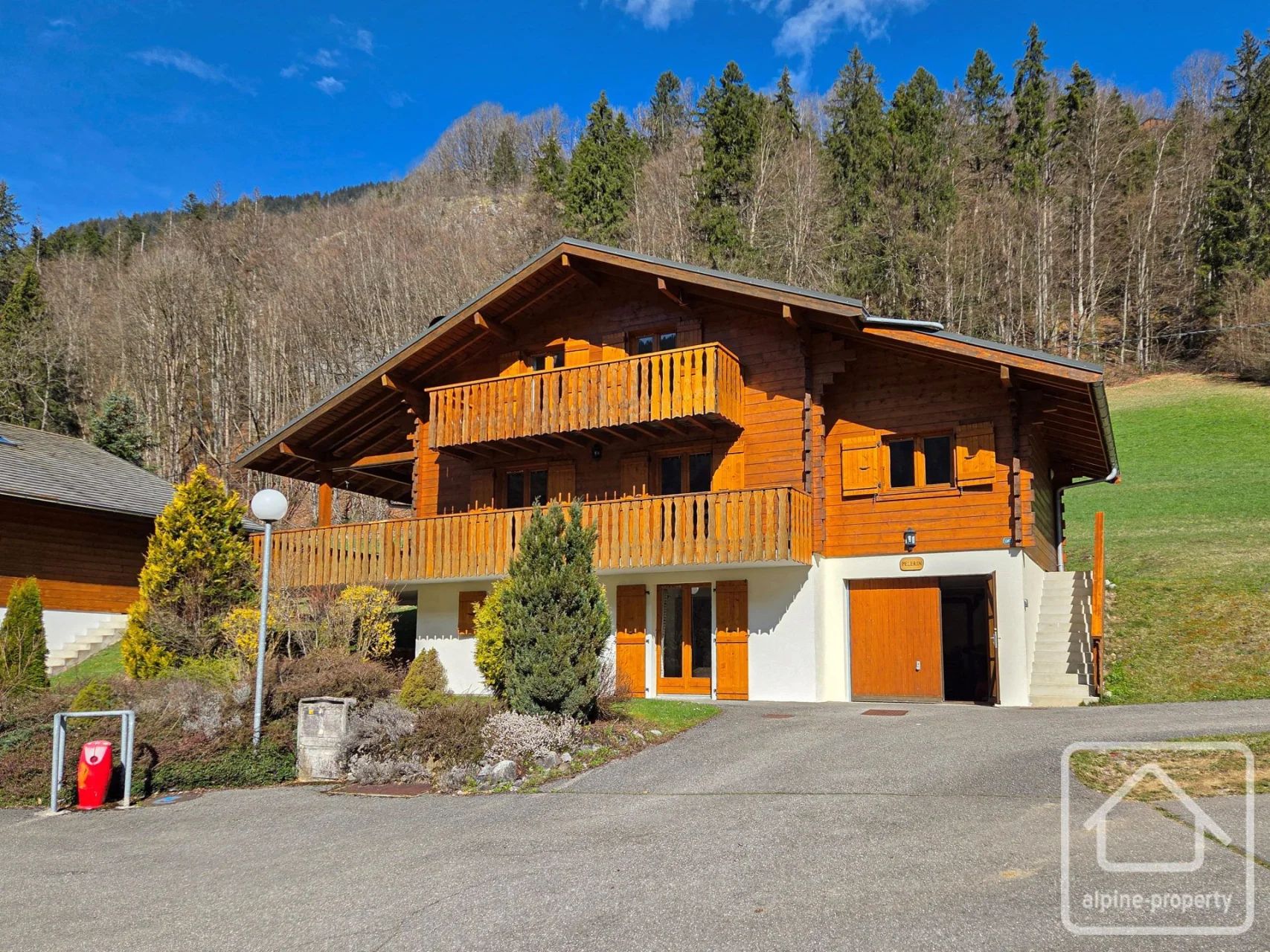 Chalet Pèlerin, Abondance, Châtel & Vallée (photo 2)