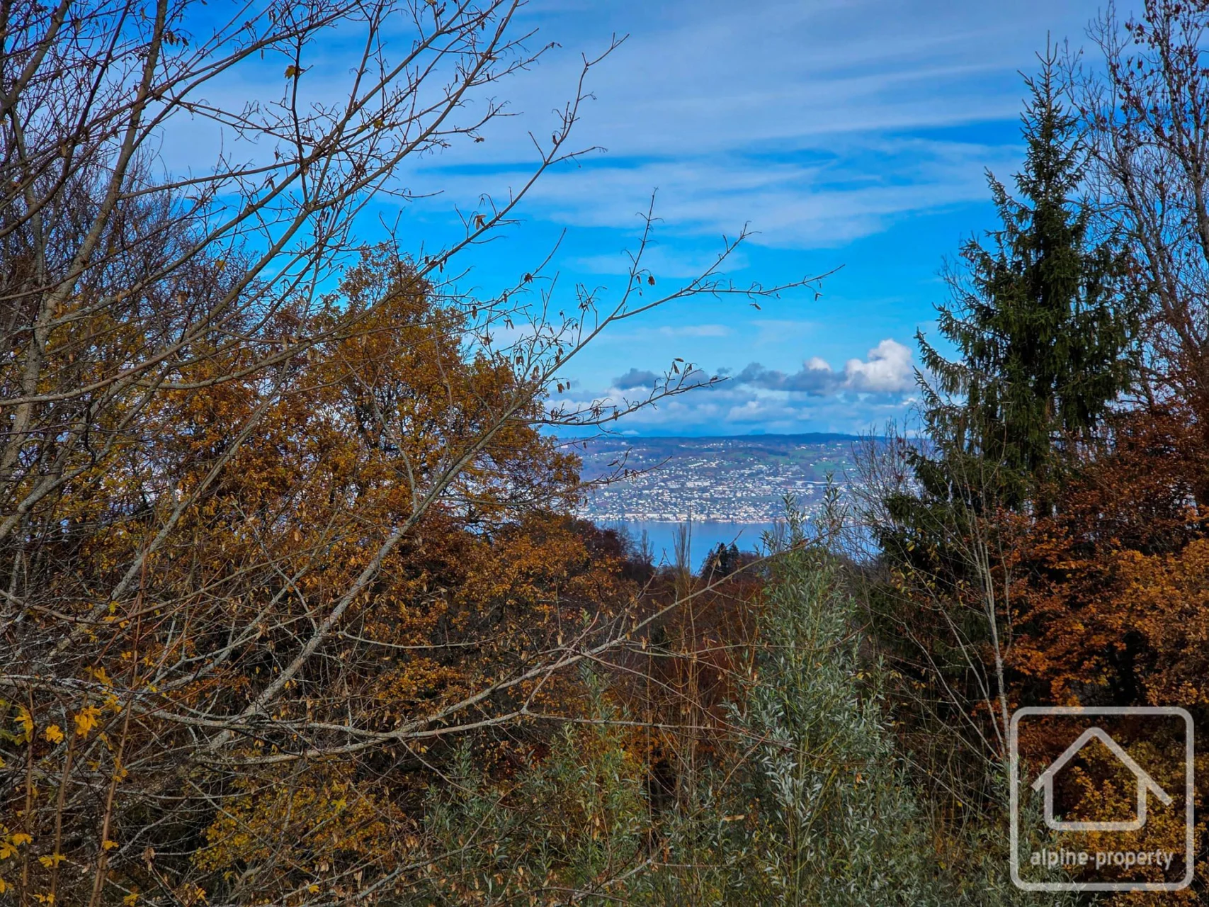 Chalet Beunaz, Saint-Paul-en-Chablais, Châtel & Vallée (photo 3)
