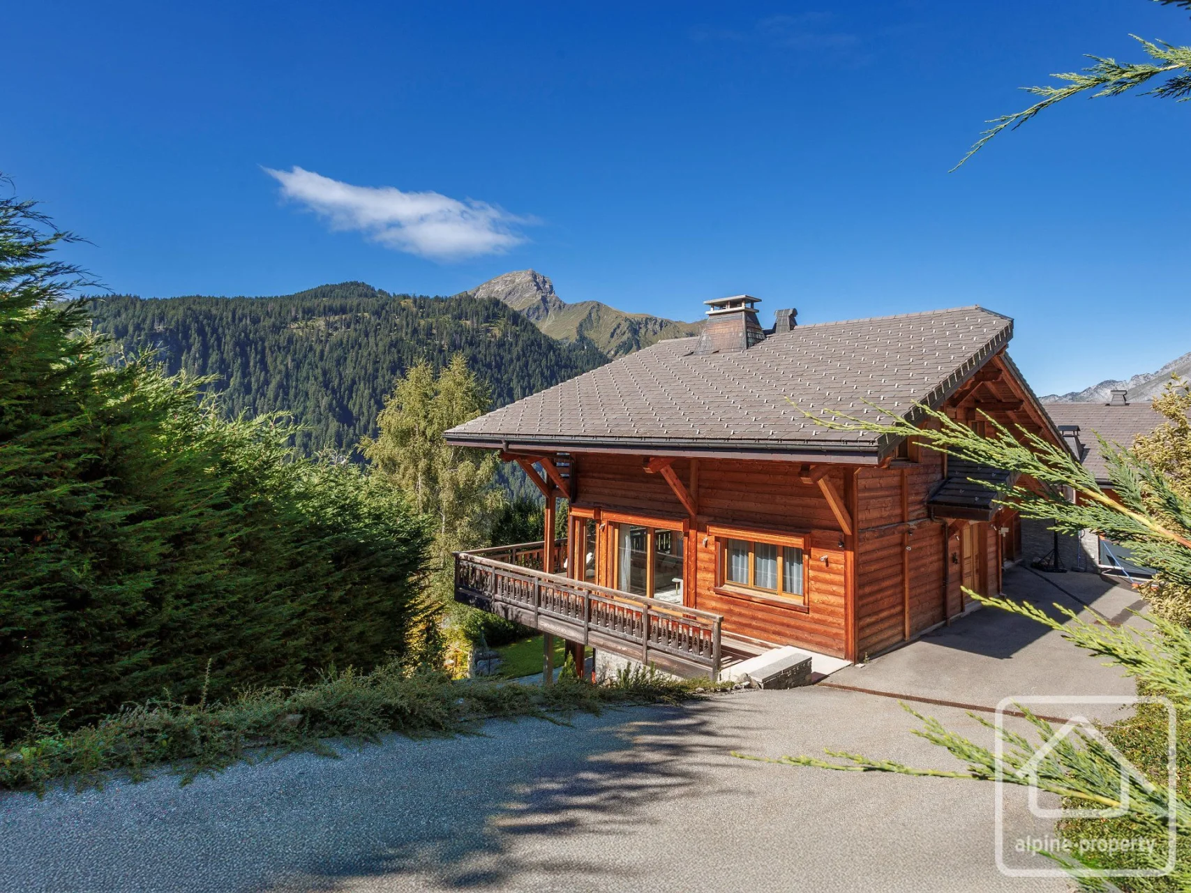 Chalet de la Vora, Châtel, Châtel & Vallée (photo 1)