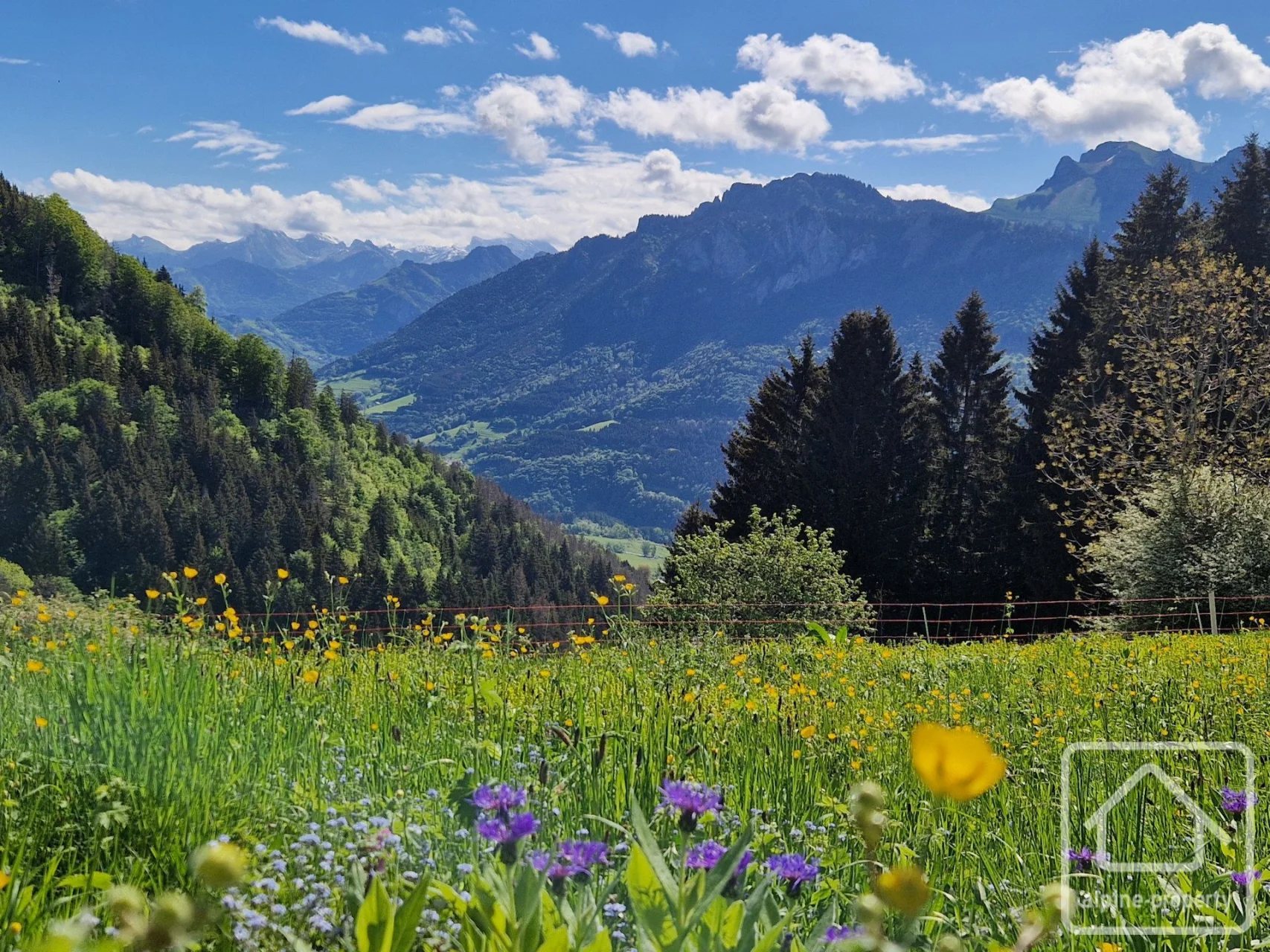 Ferme de la Tate, Vailly, Alpes du Léman (photo 2)