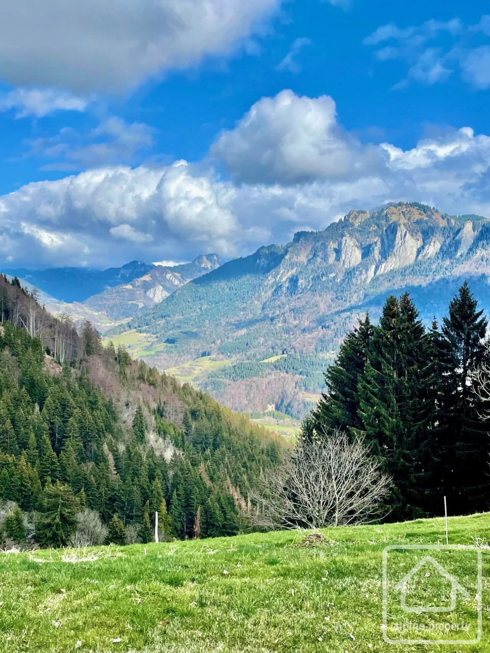Ferme de la Tate, Vailly, Alpes du Léman (photo 5)
