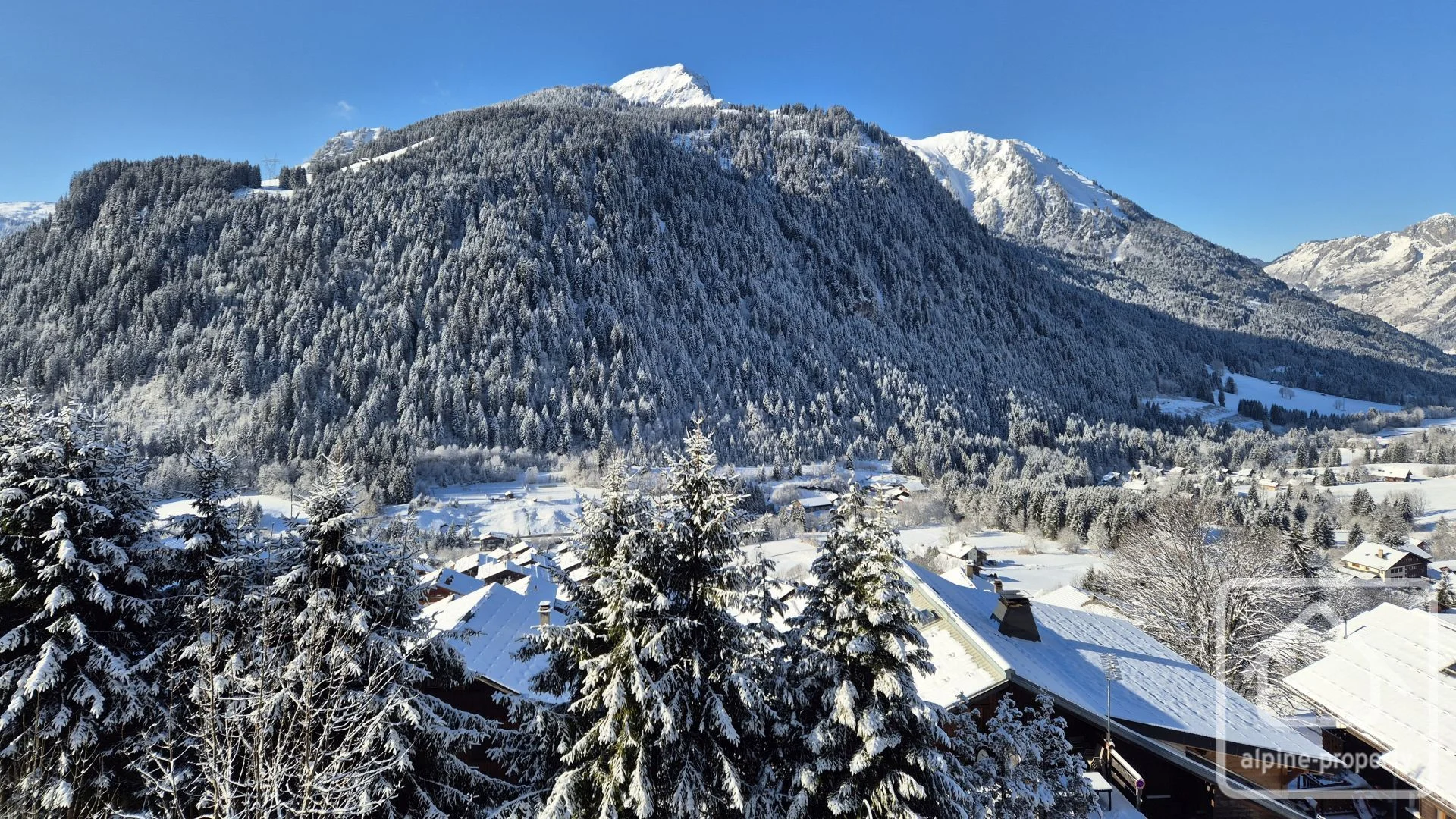 Appt. Le Grand Roc 3, Châtel, Châtel & Vallée (photo 5)