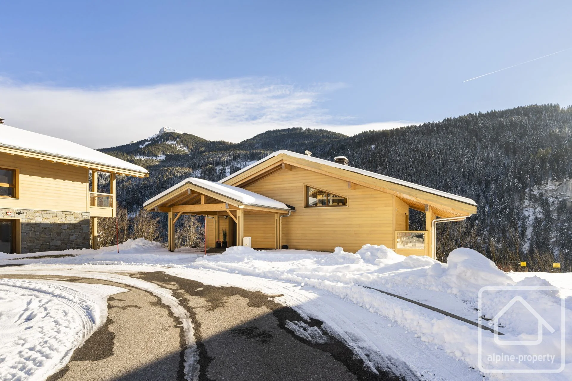 Chalet Au Mont, Abondance, Châtel & Vallée (photo 9)