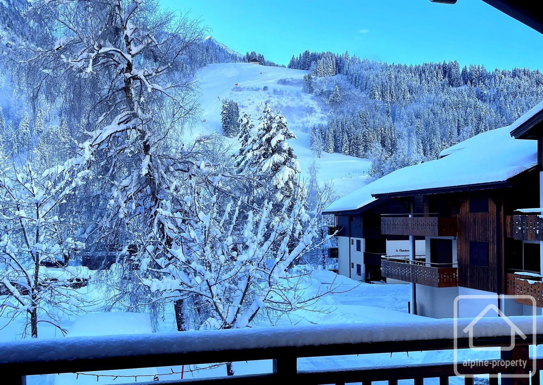 Appt. Des Étoiles, La Chapelle-d'Abondance, Châtel & Vallée (photo 6)