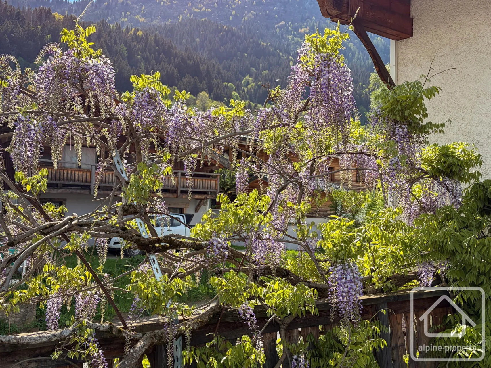 Appts. Wisteria, Les Houches, Chamonix & Vallée (photo 3)