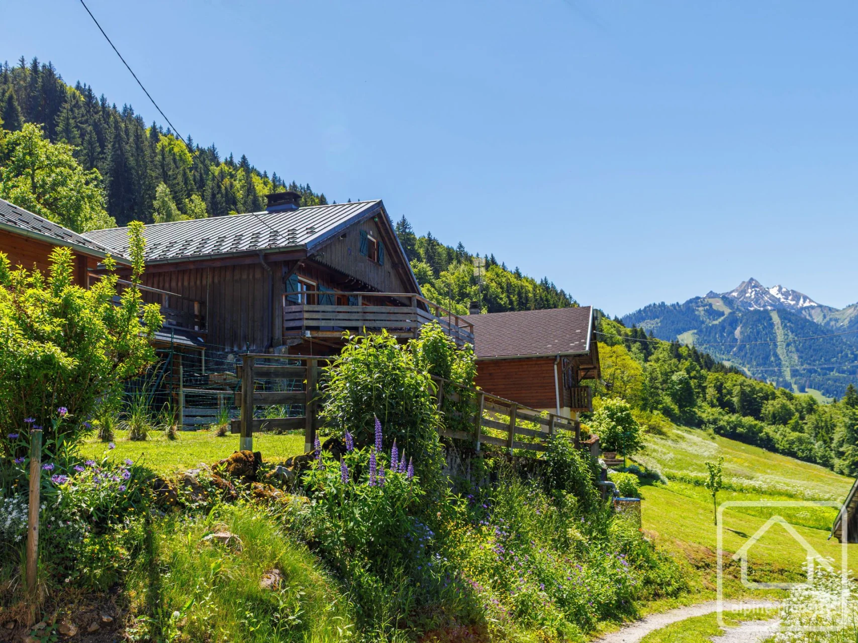 Chalet Bellecombe, Saint-Jean-d'Aulps, St Jean d'Aulps & Vallée (photo 3)