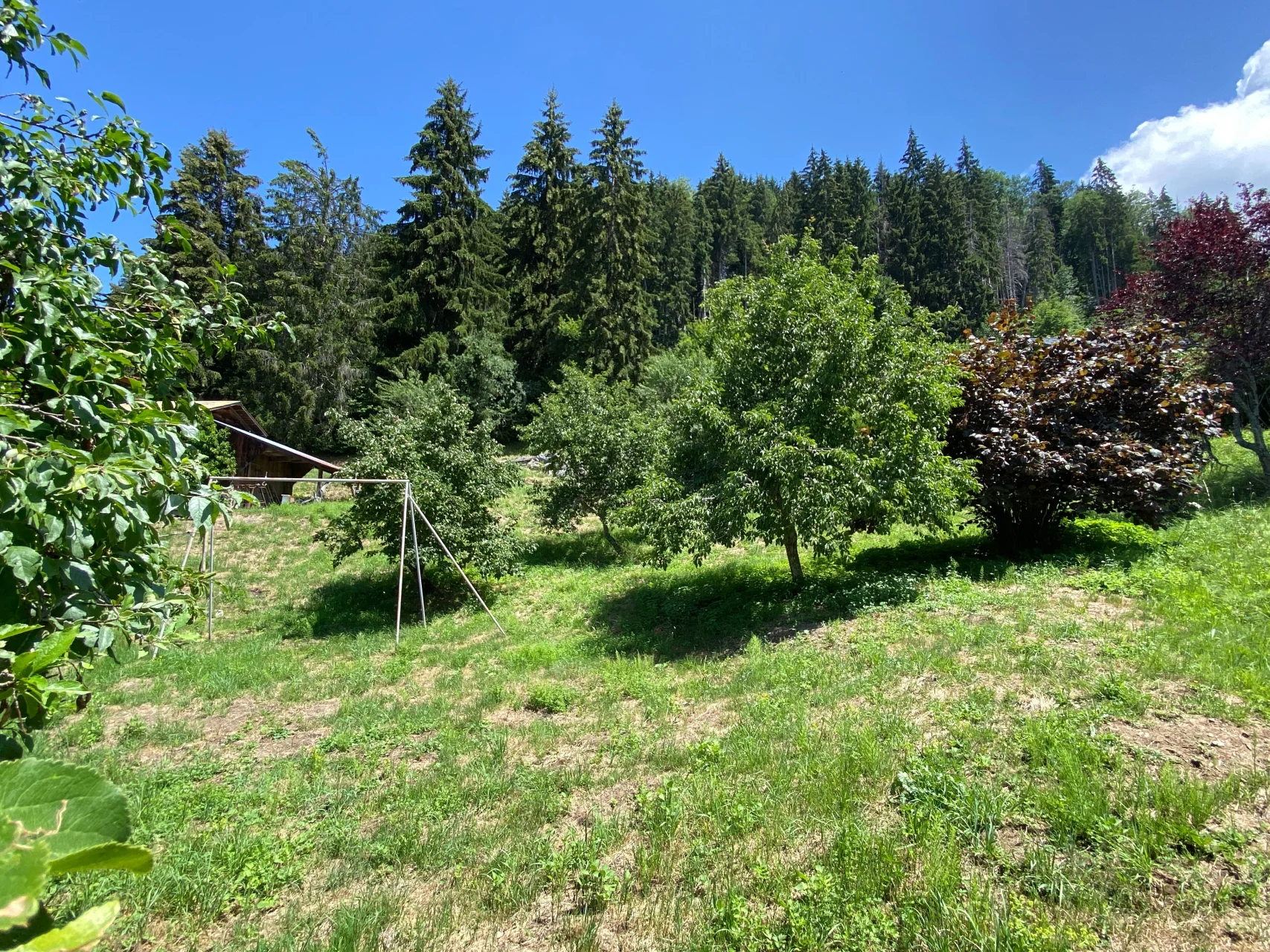 Terrain des Catelus, Arâches-la-Frasse, Flaine & Les Carroz (photo 5)