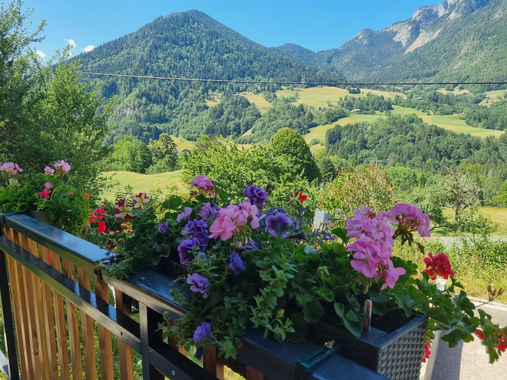 Chalet La Touvière, Le Biot, Saint-Jean-d'Aulps & Vallée (photo 2)