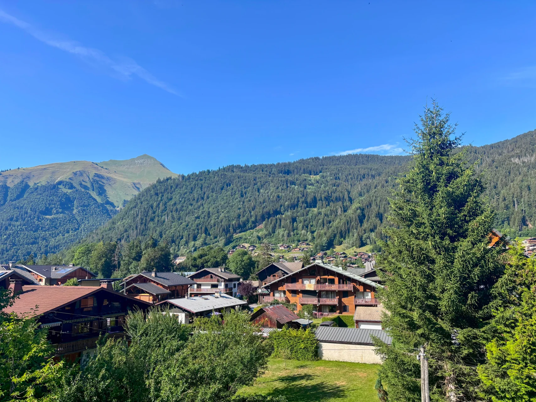 Appt Le Christiania, Morzine, Morzine (photo 3)
