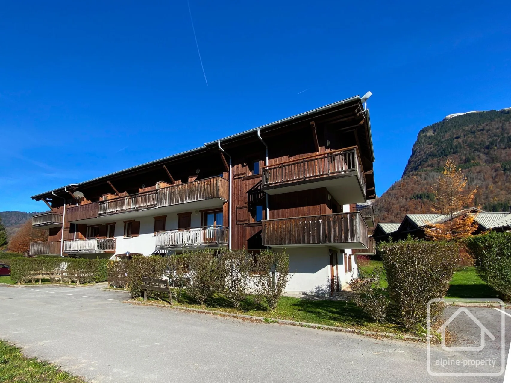Appt. Nant D'ant, Samoëns, Samoëns & Vallée (photo 4)