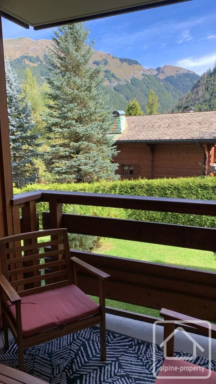 Appt. Ambrune, Morzine, Morzine (photo 10)