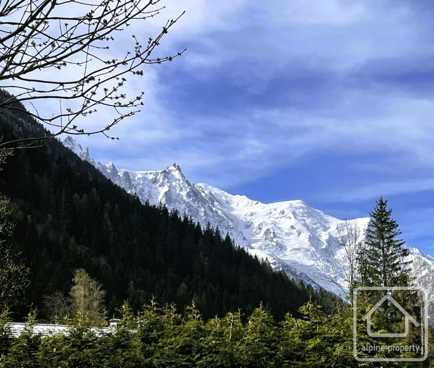 Terrain Grand Cerf, Chamonix-Mont-Blanc, Chamonix & Vallée (photo 1)