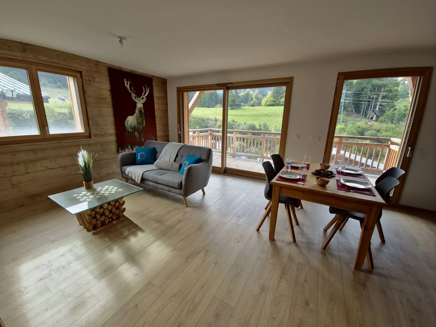 Appt. Domaine de l'Ardoise, 001, Morzine, Morzine (photo 5)
