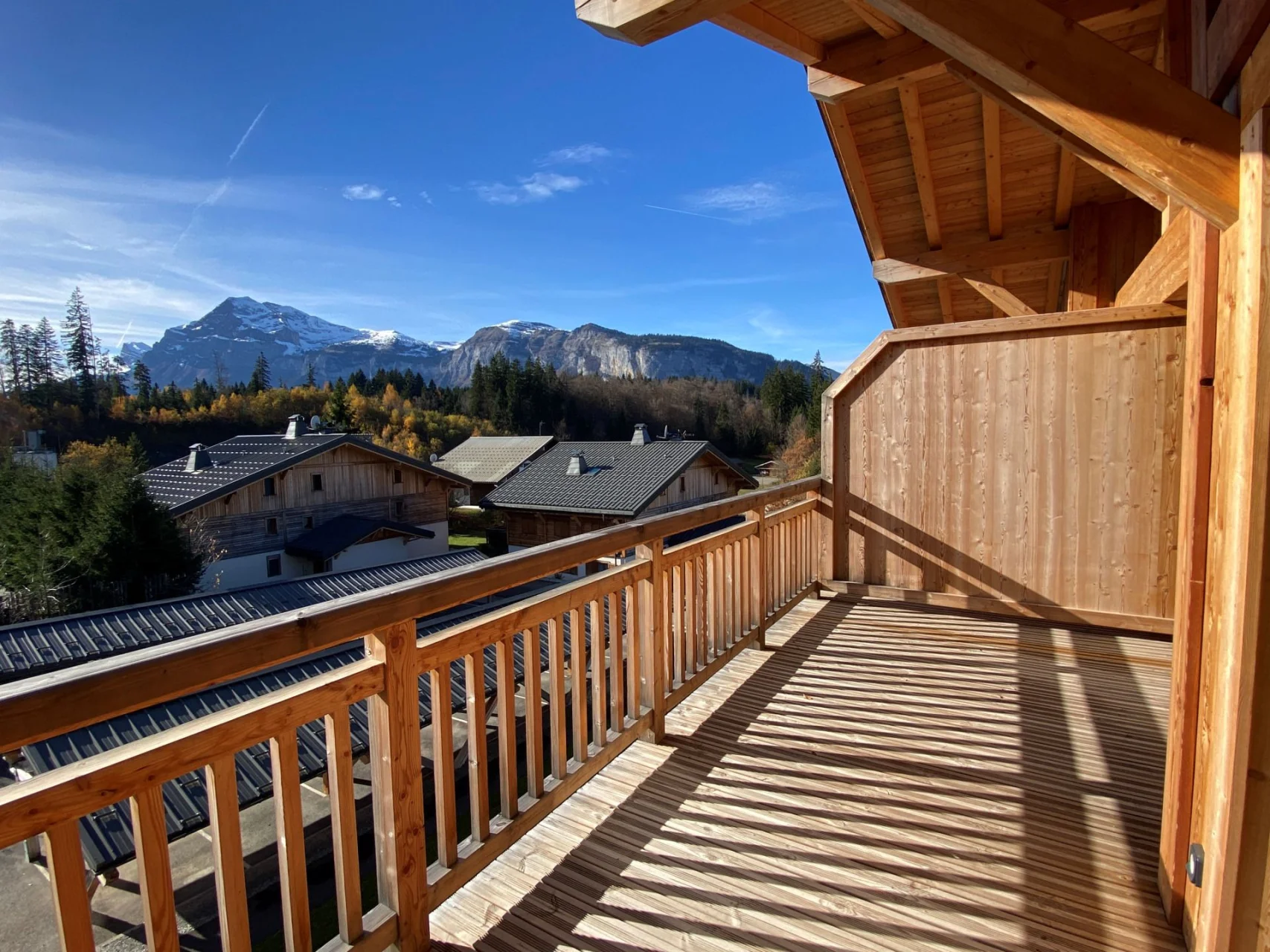 Appt. Alpaga, C302, Arâches-la-Frasse, Flaine & Les Carroz (photo 3)