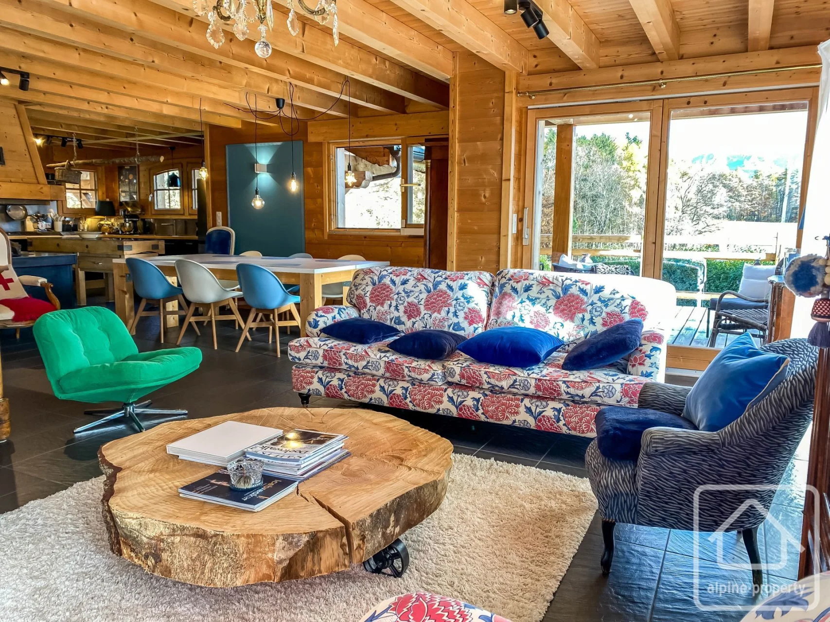 Chalet Ours, Larringes, Pays de Gavot (photo 9)