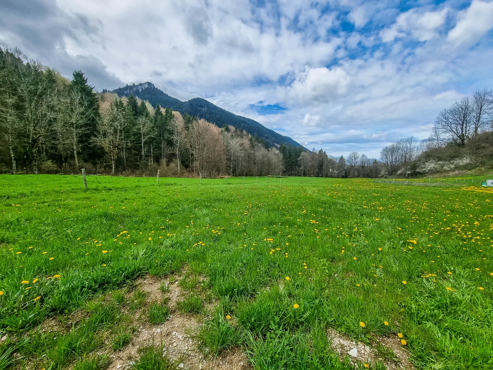 Chalet Charmet, Bernex, Pays de Gavot (photo 6)
