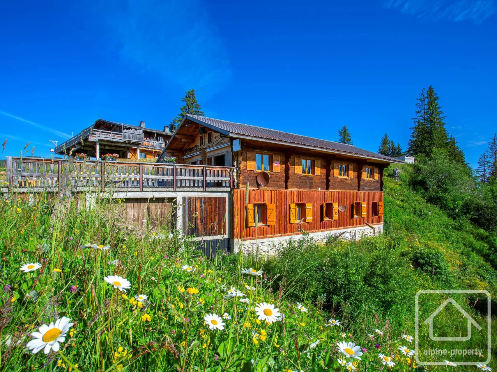 Chalet Roc d'Enfer, Saint-Jean-d'Aulps, Saint-Jean-d'Aulps & Vallée (photo 1)