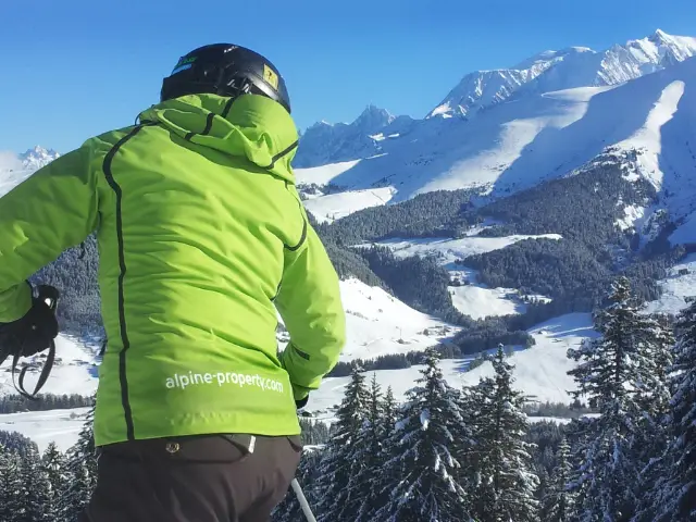 New Alpine Property kit