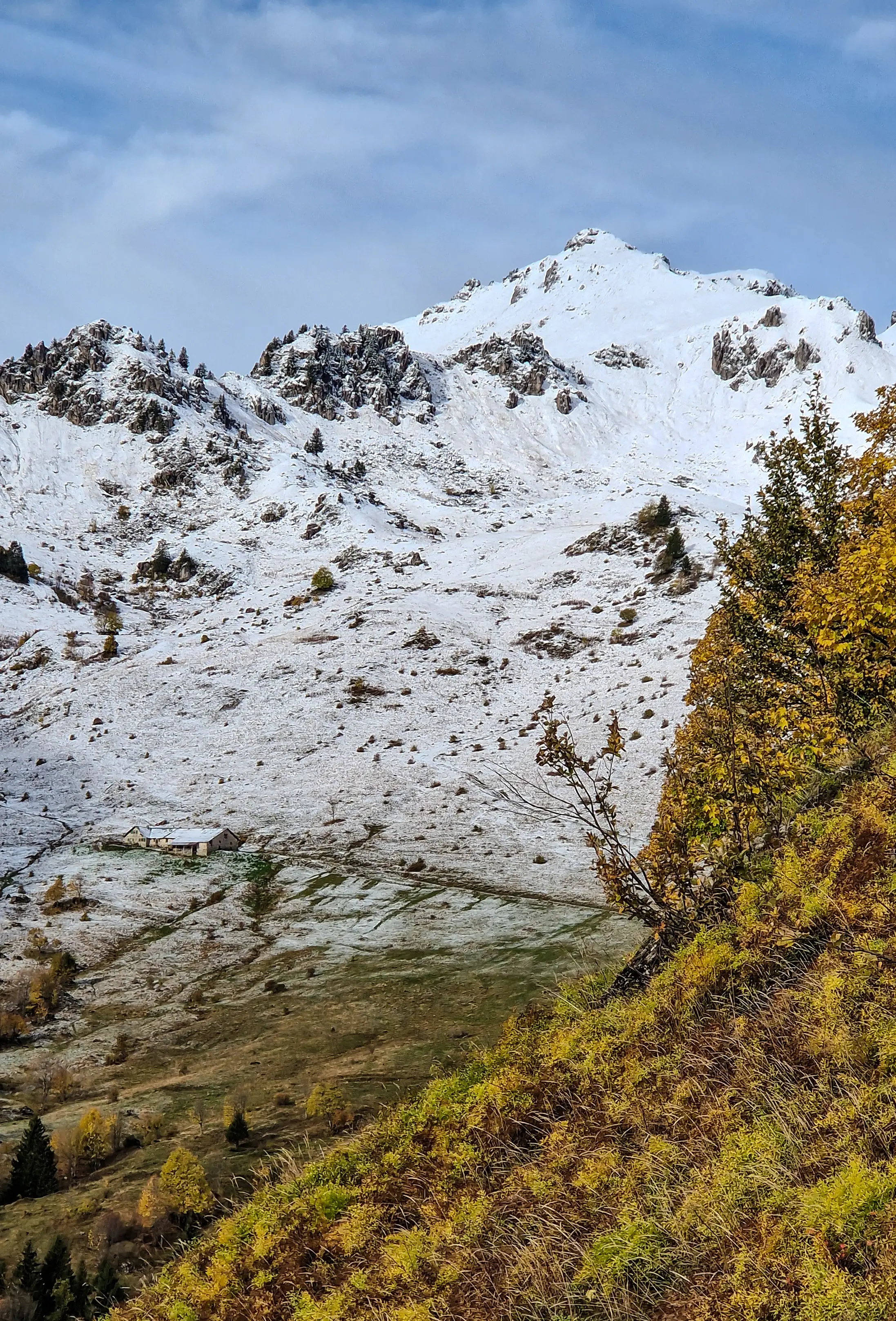 Alpine Property Market Report November 2023