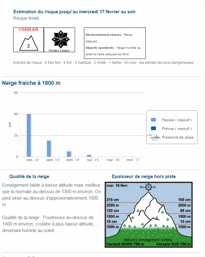 avy report