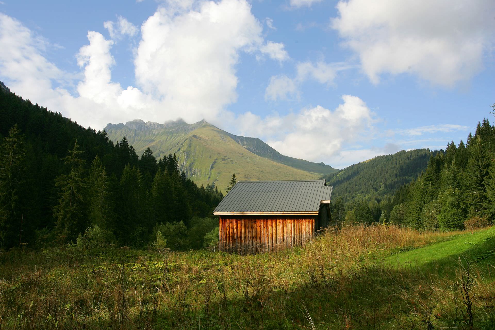 alpagebonnavaz_2