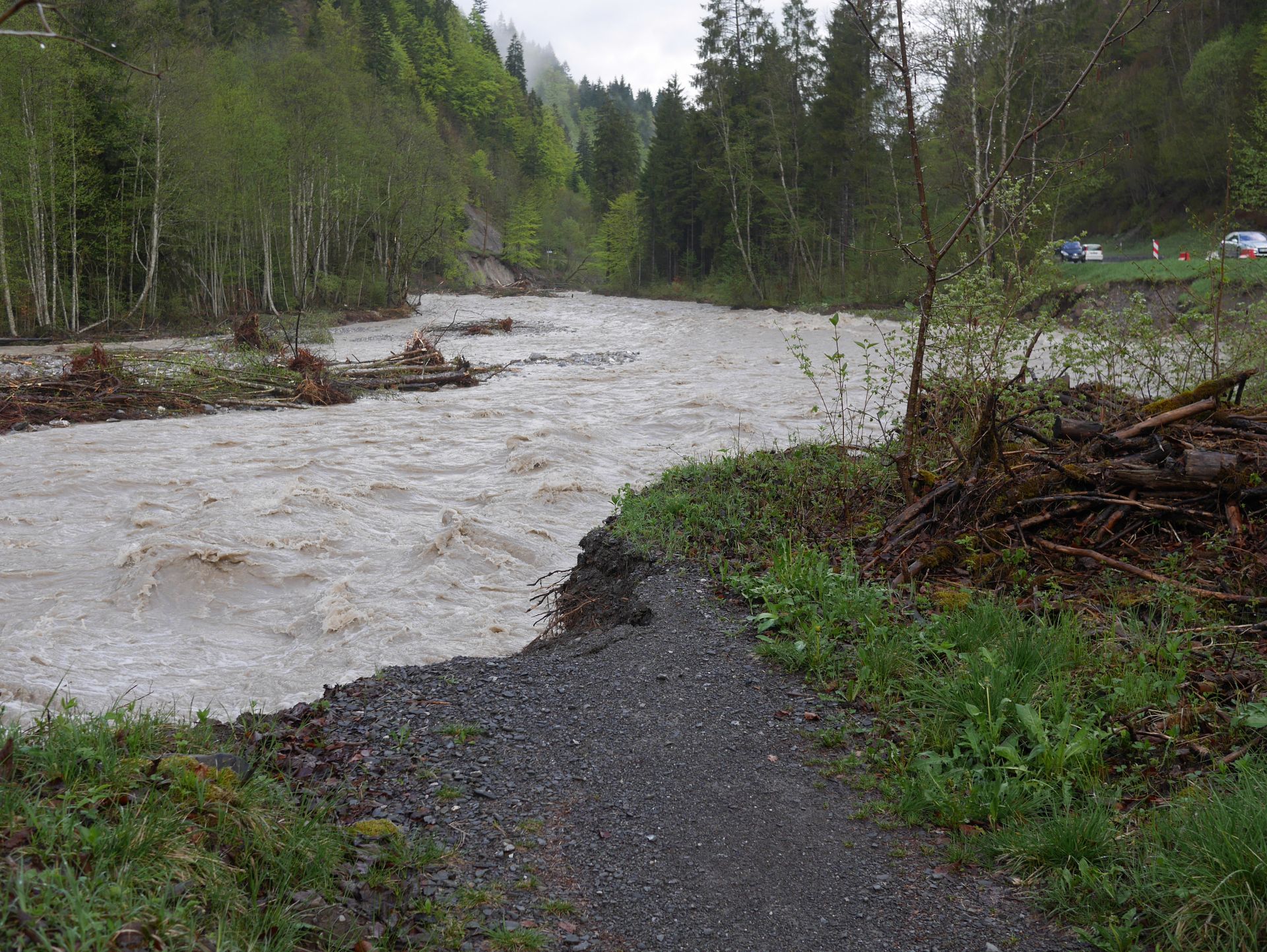 river trail 2