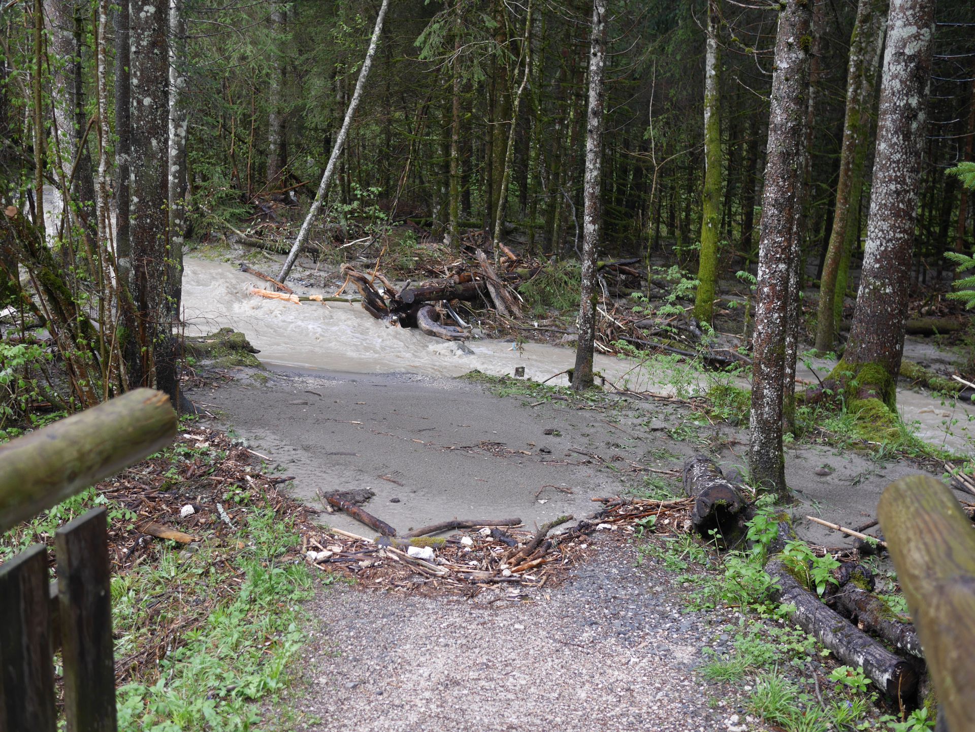 river trail