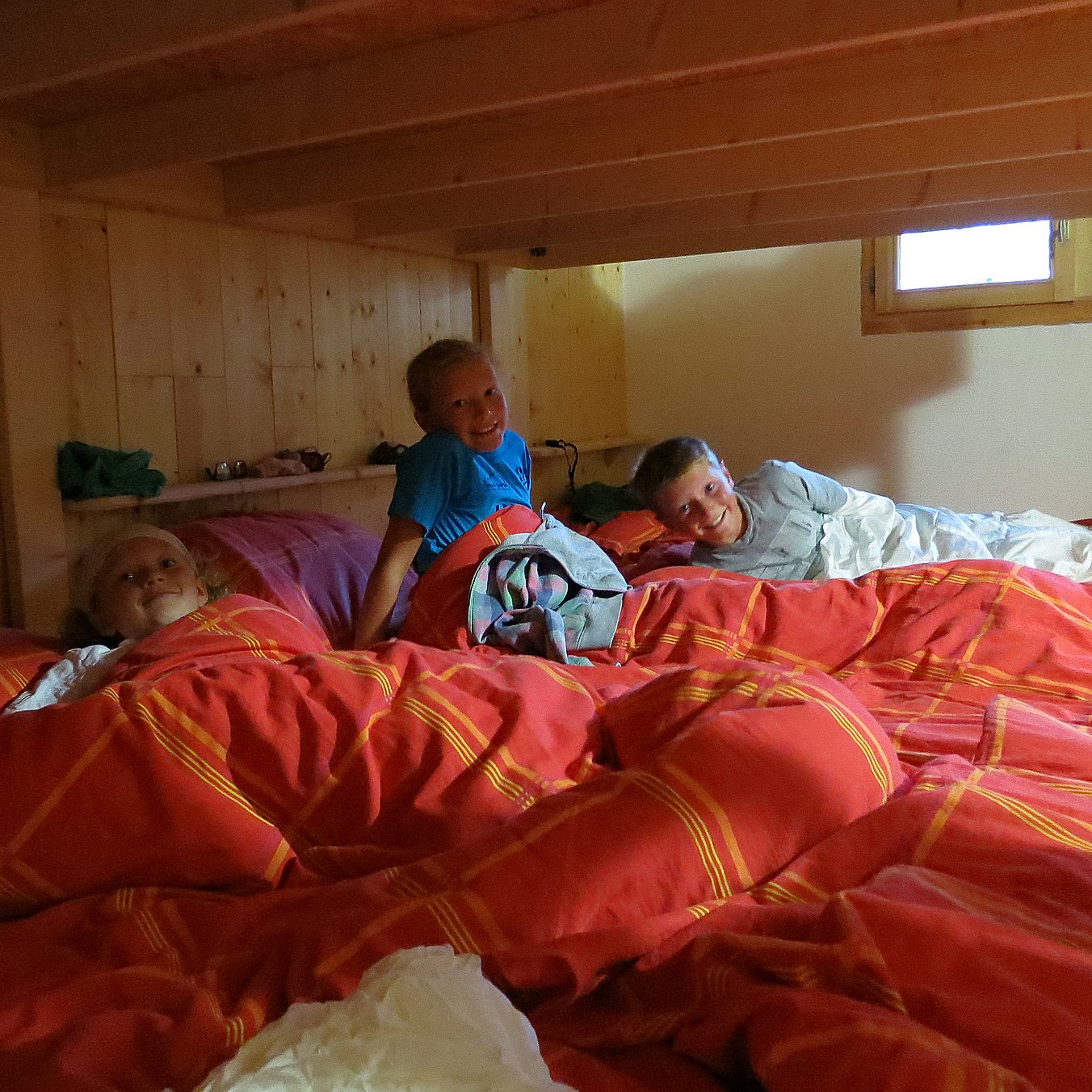 Vogealle dorms