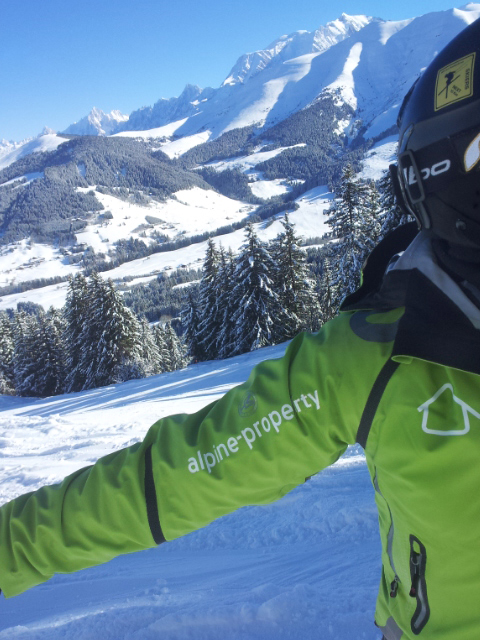 Alpine Property Logos